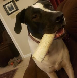 Meet your Posher, Johnette